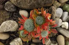 DSCF9176.webp