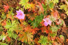DSCF9200 (2).webp