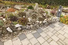 DSCF9203.webp