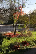herbstfarben_november_3.webp