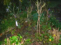 CIMG3657.webp