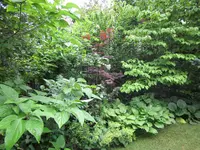 IMG_2868.webp