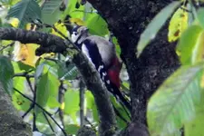 DSCN2143.webp