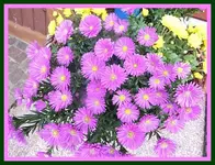 025.webp