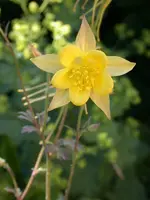 image.webp