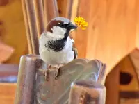 Copy of IMG_9877v.webp