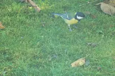 DSCF9211 (3).webp