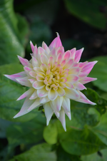 DSC_3204.webp