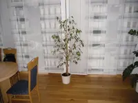 CIMG1725.webp