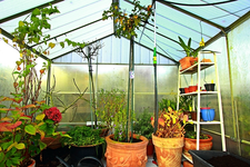 GWH mit seinen Winterbewohnern_600.webp