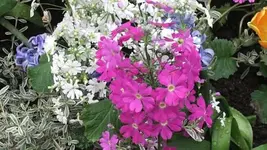 Bilda 0463.webp