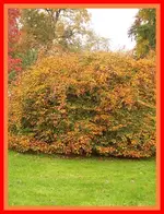 095.webp