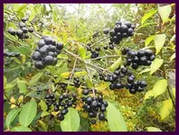 023.webp