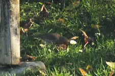DSCF9233 (2).webp