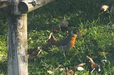 DSCF9235.webp