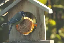 DSCF9247.webp