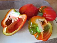 Paprika rotv.webp