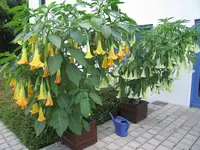 IMG_0801.webp