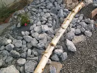 100_0897.webp