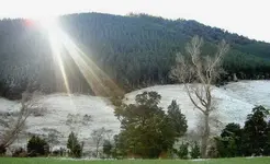 Winter 2009 460.webp