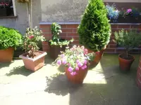 Bild 13.webp