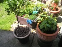 Bild 11.webp
