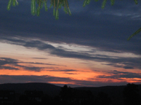 IMG_1880.webp