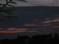 IMG_1881.webp
