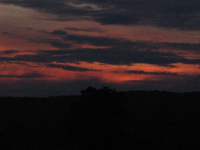 IMG_1882.webp