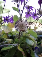 P1010481 (Small).webp