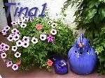 tina.webp