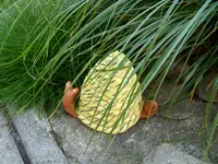 Schnecke2.webp