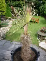 Bild 001.webp