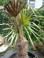 Bild 002.webp