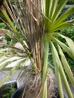 Bild 003.webp