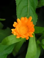 090618_0081.webp