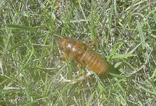 Sommer 2009 286.webp