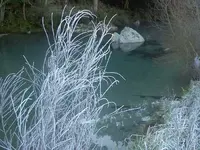 Winter 2009 490.webp