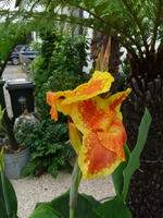 P1040214.webp