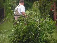 2009  Garten -6 150.webp