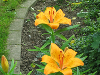 IMG_1837.webp