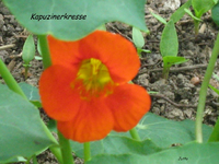 IMG_1838.webp