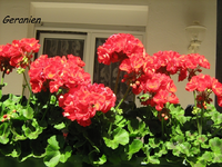 IMG_1870.webp