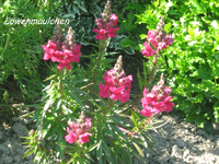 IMG_1868.webp
