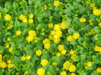 IMG_1883.webp
