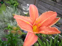 DSCN0919.webp