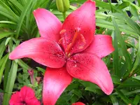 DSCN0953.webp