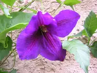 DSCN0944.webp