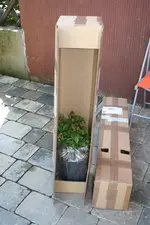 Rosenpakete2.webp