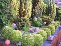 100_1731.webp
